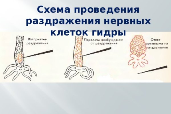 Кракен как войти через тор