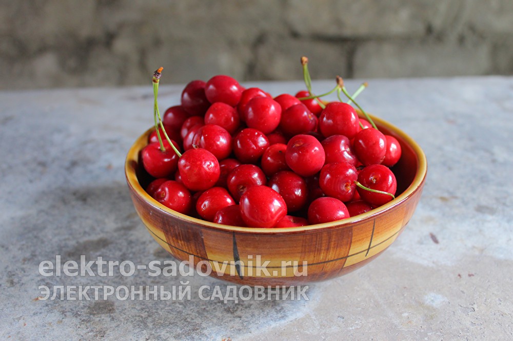 Ссылки на супернет